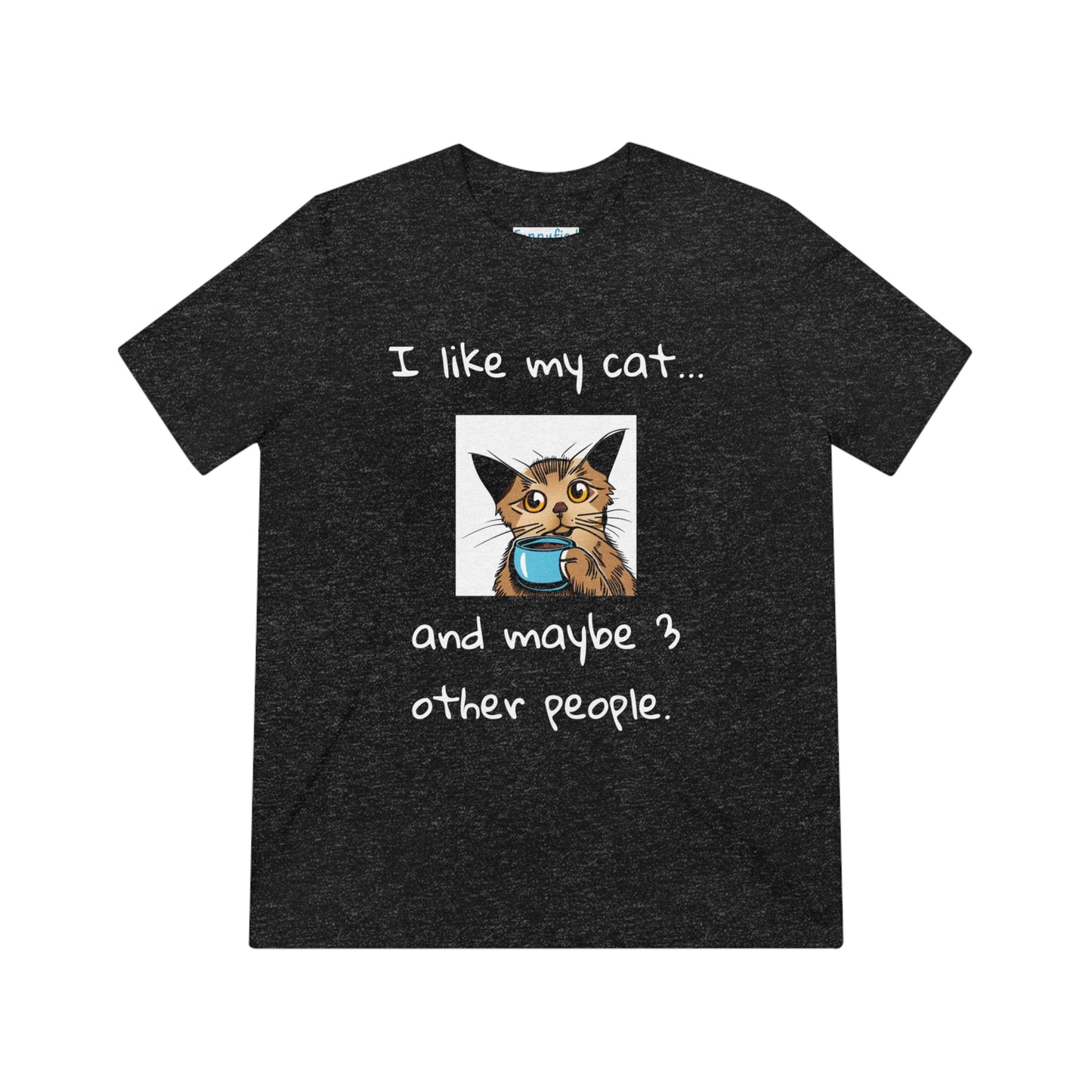 I Like My Cat...and Maybe 3 Other People - Unisex Triblend Tee