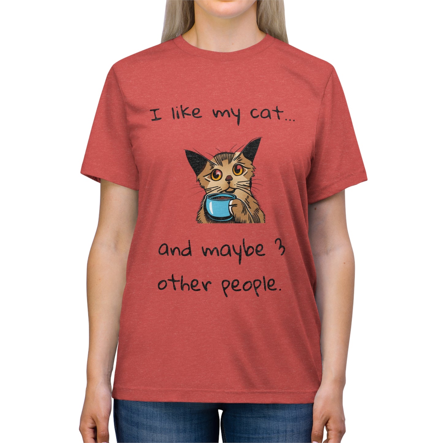 I Like My Cat...and Maybe 3 Other People - Unisex Triblend Tee