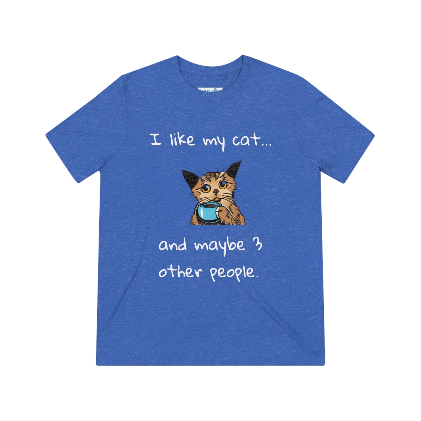 I Like My Cat...and Maybe 3 Other People - Unisex Triblend Tee