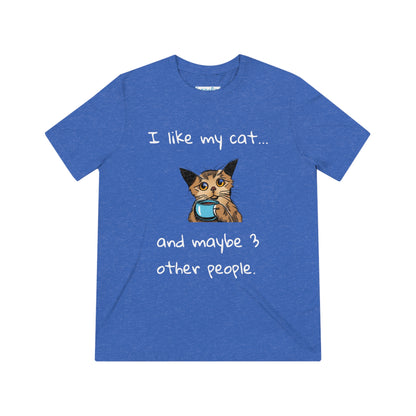 I Like My Cat...and Maybe 3 Other People - Unisex Triblend Tee