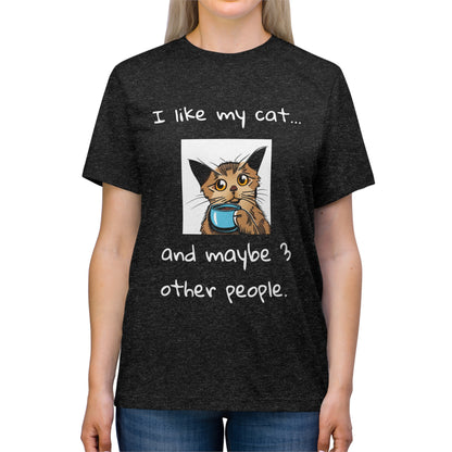 I Like My Cat...and Maybe 3 Other People - Unisex Triblend Tee