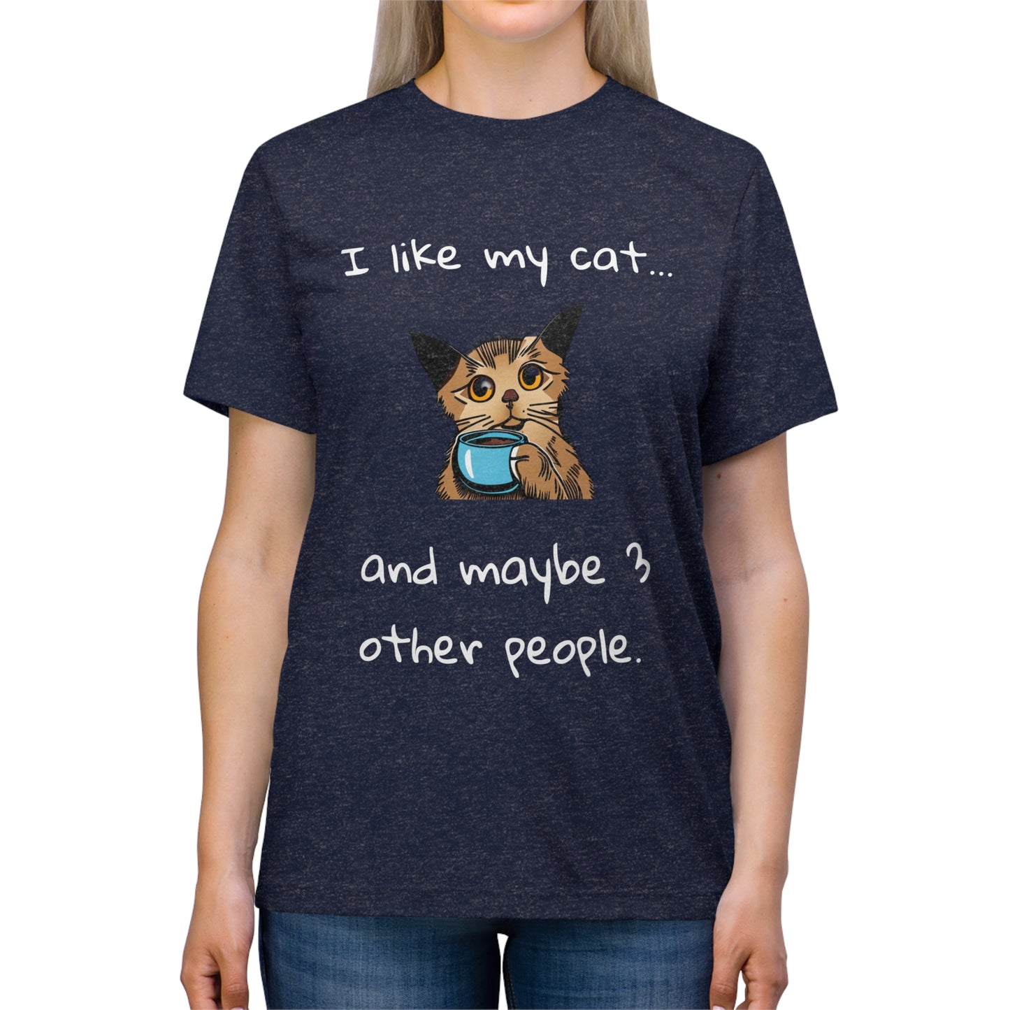 I Like My Cat...and Maybe 3 Other People - Unisex Triblend Tee