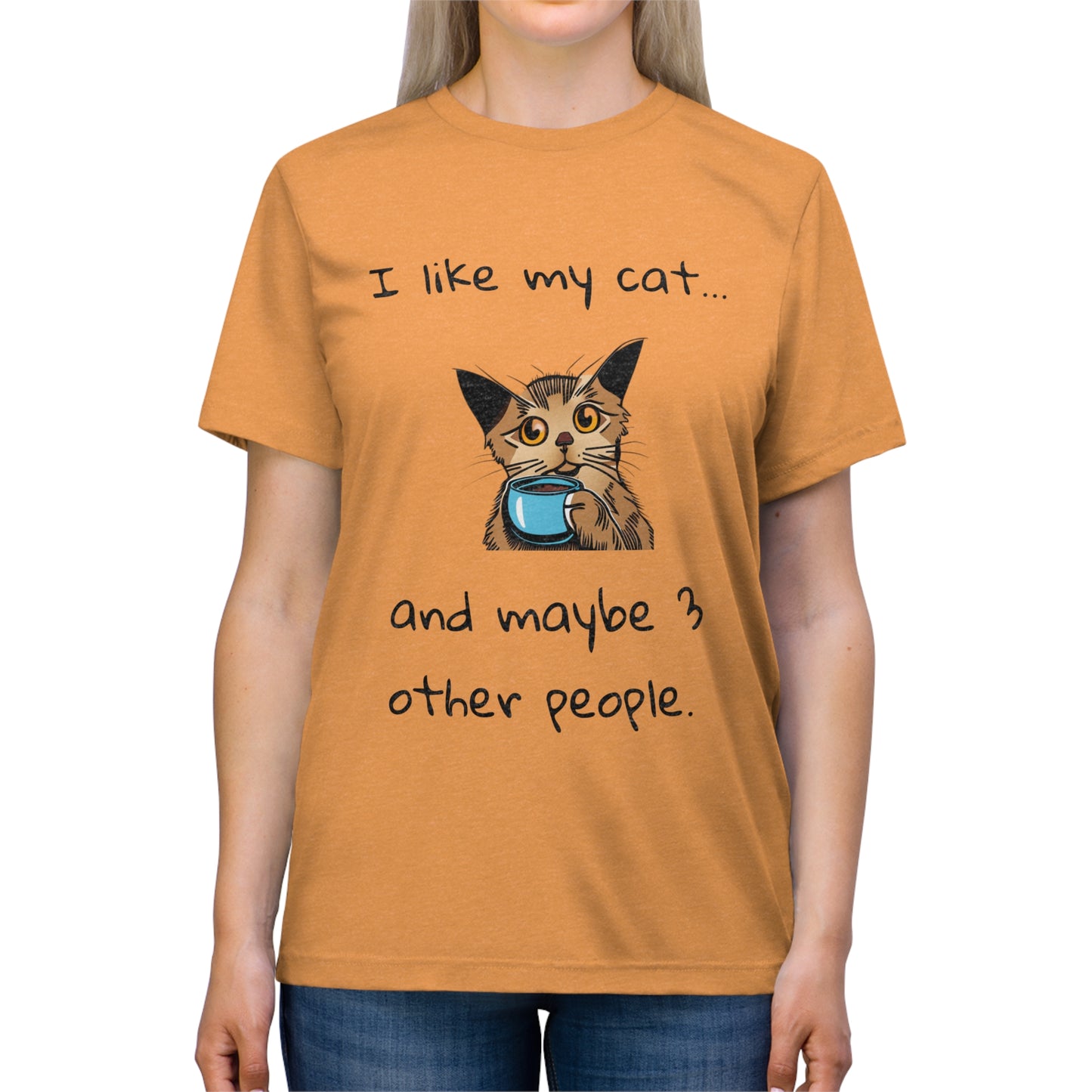 I Like My Cat...and Maybe 3 Other People - Unisex Triblend Tee