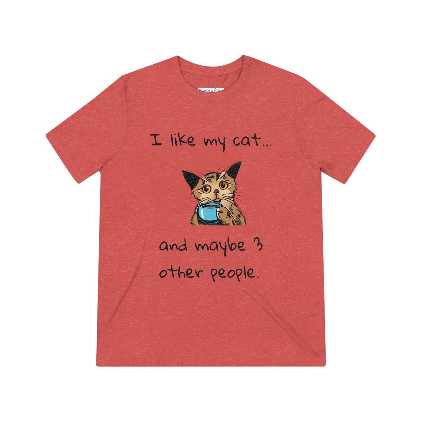 I Like My Cat...and Maybe 3 Other People - Unisex Triblend Tee