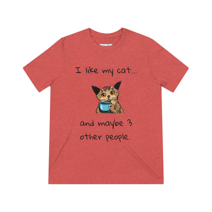 I Like My Cat...and Maybe 3 Other People - Unisex Triblend Tee